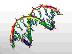 modello 3D del DNA