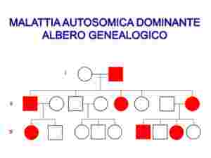 albero genealogico di una malattia mendeliana autosomica dominante con tre generazioni