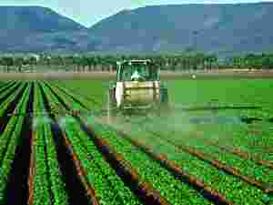 Applicazione di un pesticida in un campo di lattuga - Yuma (Arizona)